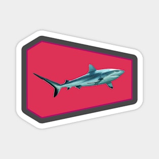 Reefshark | Big High-Light | Variation in Viva Magenta | Magnet