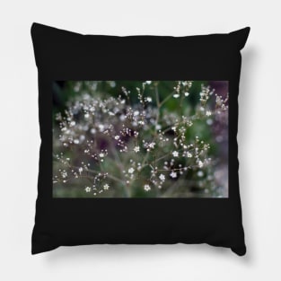 White Baby's Breath (Gypsophila paniculata) flowers Pillow