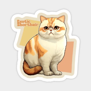 Exotic Shorthair Magnet