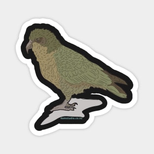 Hand Drawn New Zealand Kea Bird Magnet