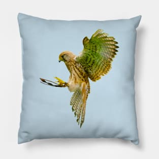 Kestrel about to land on a falconers fist Pillow