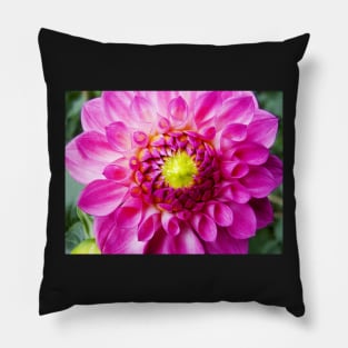 Pink Dahlia Bud Pillow