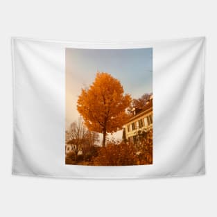 Golden leaves in the sun Tapestry