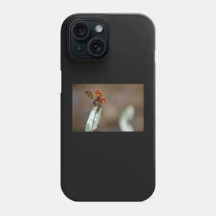 Got to fly Phone Case