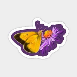 Orange Sulphur Butterfly Magnet