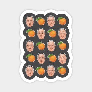 Godfather likes oranges Magnet