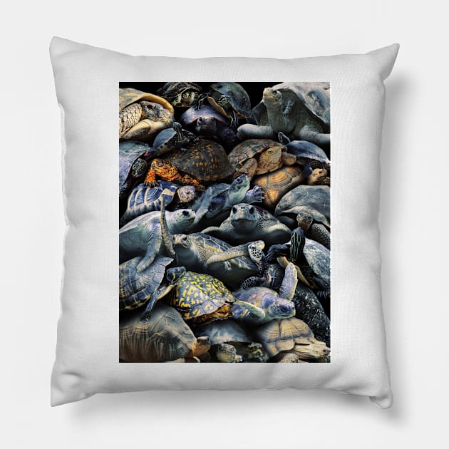 Turtles Pillow by MaxencePierrard