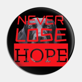 Never Lose Your Hope Pin