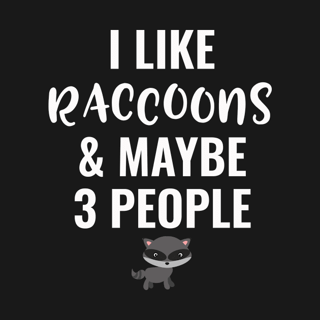 I Like Raccoons And Maybe 3 People by Saimarts