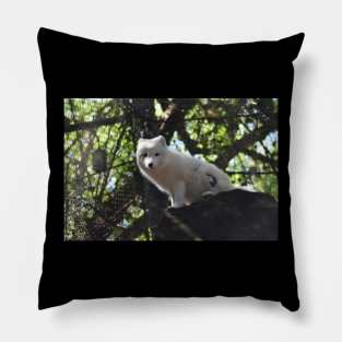 Arctic Fox Pillow