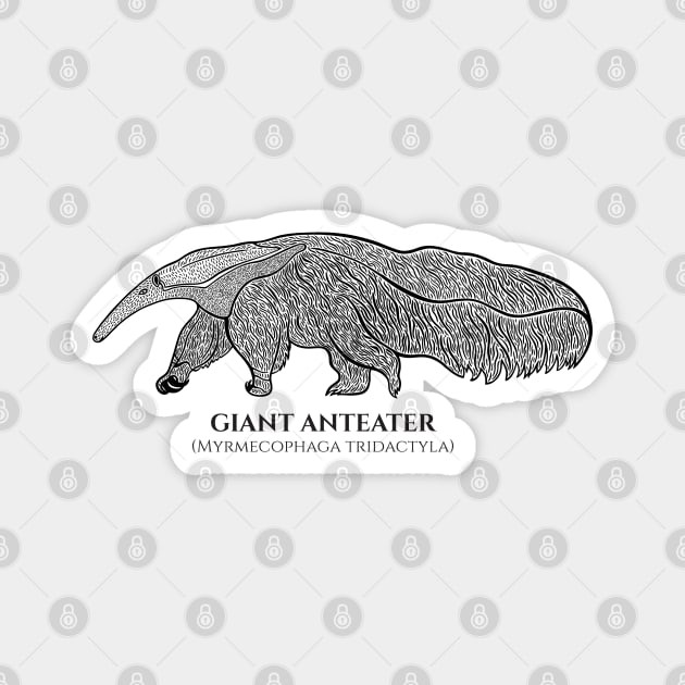 Giant Anteater with Common and Latin Names - animal on white Magnet by Green Paladin