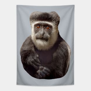 The wonderful eyes of a Colobus monkey Tapestry