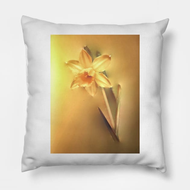 Yellow Daffodil Pillow by JimDeFazioPhotography