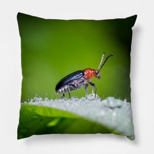 Unique and organic photo of a leaf beetle crossing a slippery dew covered leaf Pillow