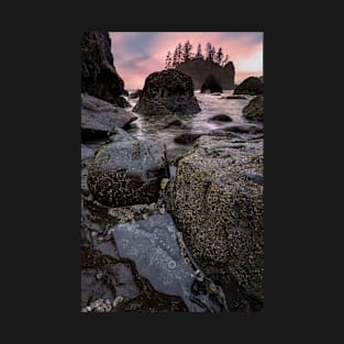 Tide Pools at Sunset T-Shirt