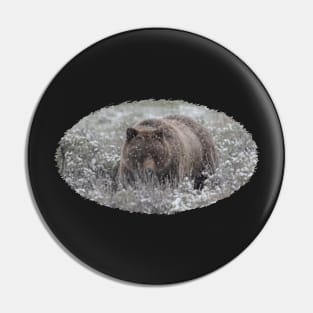 Grizzly in Snow Pin