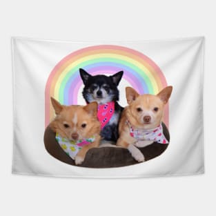 Chihuahua Rainbow Trio Tapestry