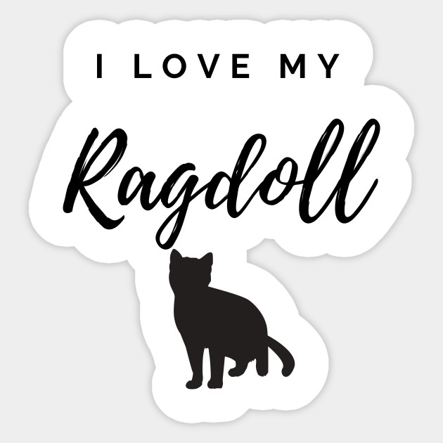 I Love My Ragdoll Cat Ragdoll Cat Sticker Teepublic Uk