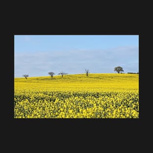 Rapeseed Field T-Shirt