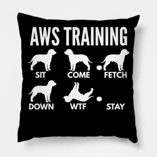 American Water Spaniel Training AWS Tricks Pillow