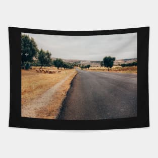 Herd of Sheep Walking Towards Fez (Morocco) Tapestry