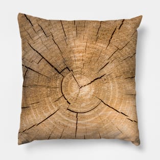 Wooden Tree Circle Texture - Alternative II Pillow