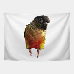 Green Cheek Conure Parrot Bird design, Love for birds Tapestry