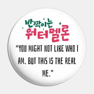 Twinkling Watermelon Korean Drama Pin