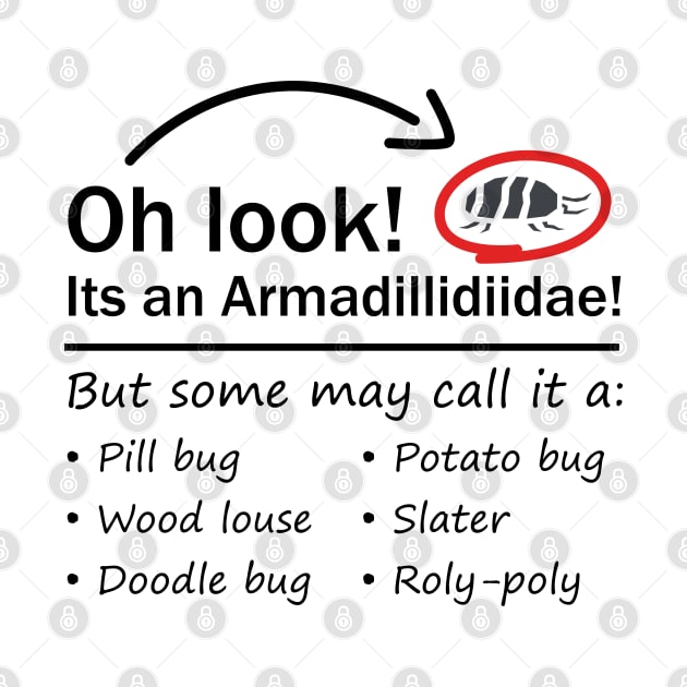 Oh Look! - Pill Bug Names by DaTacoX