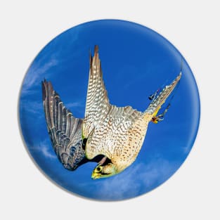 Peregrine Falcon Pin