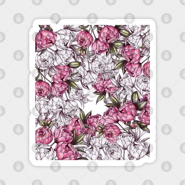 Peony pattern sketch. White and pink color Peony TeePublic