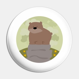 Bear Pin