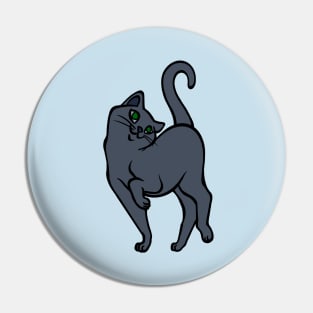 Begging for Pettings-- Russian Blue Style Pin