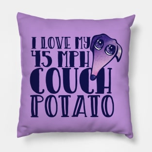 I love my 45 mph couch potato Pillow