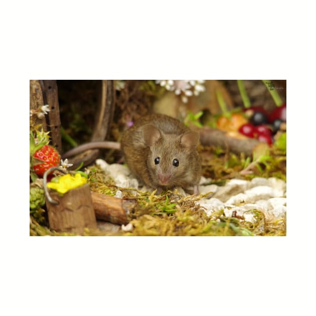 George the mouse in a log pile house by Simon-dell