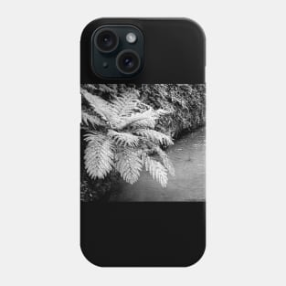 Ferns and stream Phone Case