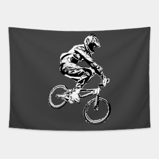 bmx Tapestry