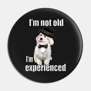 I’m not old I’m classic experienced funny humor getting older joke Cavapoo puppy dog Pin