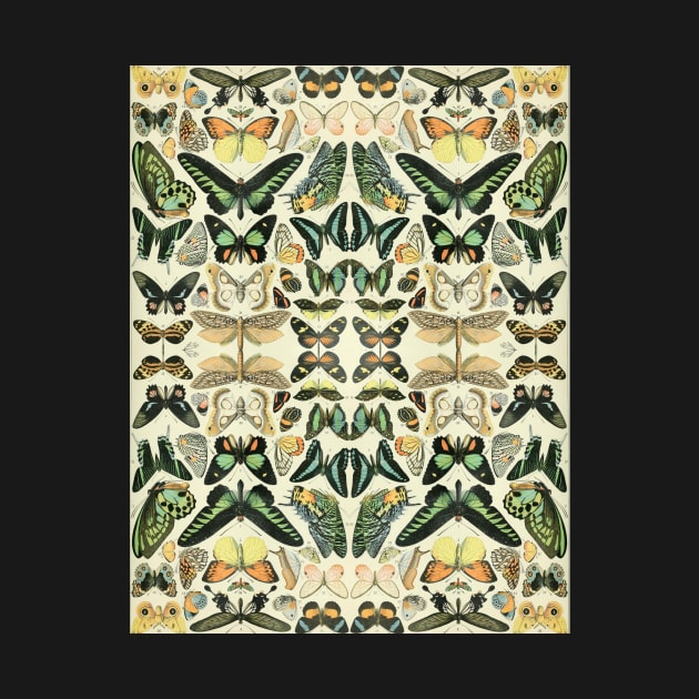 Butterfly Pattern made from Butterflies by Adolphe Millot by Amanda1775