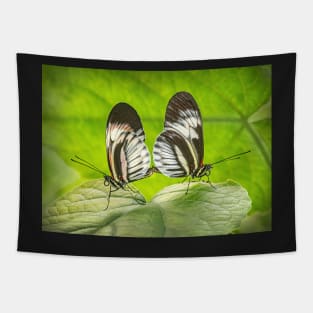 Heliconius Butterflies Mating Tapestry