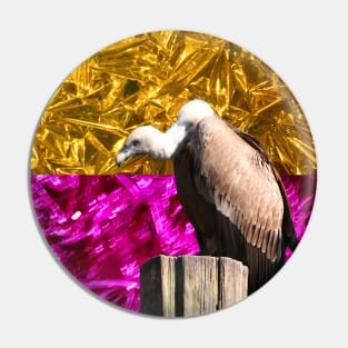 Vulture bicolor  III  / Swiss Artwork Photography Pin