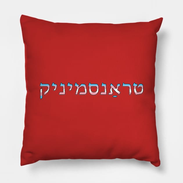 Transgender (Yiddish) Pillow by dikleyt