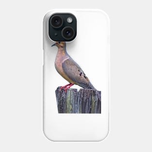 Mourning Dove on a Fence Phone Case