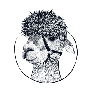 Guanaco Llama Vicuna Breeder Alpaca T-Shirt