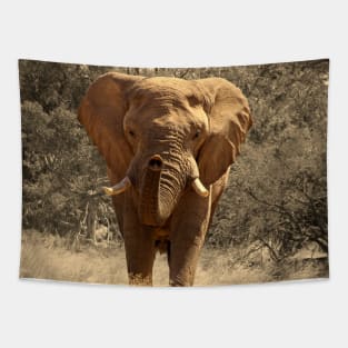 Elephant (Warm) Tapestry