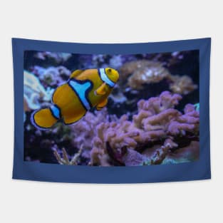 Clownfish Tapestry