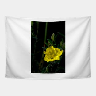 Showy Guinea Flower Tapestry