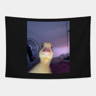 Funny duck Tapestry