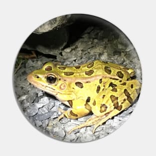 Frog Unit Pin