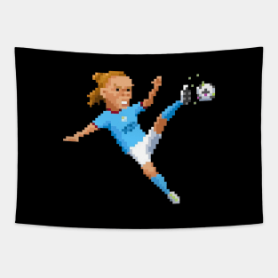 Haaland 8bit Tapestry